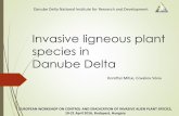 Invasive ligneous plant species in Danube Deltaturjanvidek.hu/media/statikus/Invasive ligneous... · Danube Delta EUROPEAN WORKSHOP ON CONTROL AND ERADICATION OF INVASIVE ALIEN PLANT