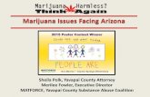 Sheila Polk, Yavapai County Attorney Merilee Fowler ......• Decline in personal relations • Poor academic outcomes Weekly Teen Use of Marijuana Lowers IQ By 7-8 points by Age 38