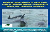 Bottlenose Dolphin Research on Florida's West Coast: 4+ Decades … · 2016-01-27 · Bottlenose dolphin research was initiated in Sarasota Bay, Florida, in 1970 • Tagging initiated