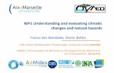 WP1 Understanding and evaluating climatic changes and ...otmed.osupytheas.fr/sites/default/files/ancien_site/IMG/pdf/4_WP1_… · WP1 Understanding and evaluating climatic changes