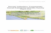 Dorset Voluntary, Community, Social Enterprise (VCSE) Survey€¦ · ongoing barriers to entry and disadvantage in the market place. Keep small scale funding open to VCSE organisations,