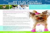 WE’VE GOT YOUR DOG’S PAWS COVERED!Sell+Sheet.pdf · make a “fashion statement!” 7565 Ironbridge Circle Delray Beach, FL 33446 Follow Us f ff ff Best Dog Snow Boots Reviewer: