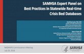 SAMHSA Expert Panel on Best Practices in … Morrissette...SAMHSA Expert Panel on Best Practices in Statewide Real-time Crisis Bed Databases NASMHPD Commissioners Meeting July 29,
