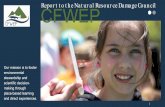Report to the Natural Resource Damage Council CFWEP · Steele-Reese $ 24,000 * Direct Match to NRD programming. Grants Applied for 2020-22 Grants Denied for 2020-22. 16. ... SOCIAL