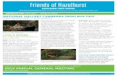 Friends of Hazelhurst Newsletter January - March 2019 · Friends of Hazelhurst members will be held on Thursday 28th February, 2019 at 7pm in Studio 2 at Hazelhurst. In keeping with