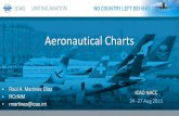 Aeronautical Charts · 2015-08-24 · Pilot Criteria • Doc 9906 AN472 Vol 6 • Flight Validation Pilot Training and Evaluation • First Edition . RNP AR Design Criteria ... –