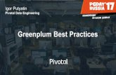Pivotal Data Engineering Greenplum Best Practicesи других организациях в качестве основного хранилища данных и аналитической