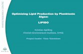 Optimizing Lipid Production by Planktonic Algae: LIPIDO...Algal growth response and optimization Partners - Norway Ludwig Maximilian University (LMU) Herwig Stibor Maria Stockenreiter