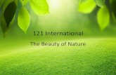 121 International121international.com/wp-content/uploads/2017/03/121-International-… · Skincare Products • Moisturizing Cream (All Skin) • Dark Circles & Bulges Cream • Lip