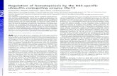 Regulation of hematopoiesis by the K63-specific ubiquitin ... · Regulation of hematopoiesis by the K63-specific ubiquitin-conjugating enzyme Ubc13 Xuefeng Wua, Masahiro Yamamotob,