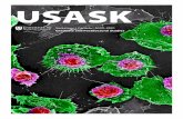 USASK · More Than Meets The Eye Runner-up, USask Images of Research 2019 competition By Awang Hazmi Awang Junaidi, PhD Student In Veterinary Biomedical Sciences The highlighted structures