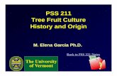 PSS 211 Tree Fruit Culture History and Origin · 2002-09-25 · • Prunus americana - North American plum. ... Botany and History • Most fruit trees require cross pollination •