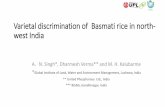 Varietal discrimination of Basmati rice in north - west India · IRS-P6 AWiFS: 03-Oct-2010 Covering Haryana and Punjab States. Basmati . Sharbati ... In general, the high yielding