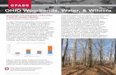 OHIO STATE UNIVERSITY EXTENSION OHIO Woodlands, Water ... · Ohio woodland owners should be proud of their contributions to the state's economy. Women Owning Woodlands: Gaining Momentum