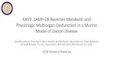 AAV9. LAMP-2B Reverses Metabolic and Physiologic ...€¦ · AAV9. LAMP-2B Reverses Metabolic and Physiologic MultiorganDysfunction in a Murine Model of DanonDisease Ana Maria Manso,