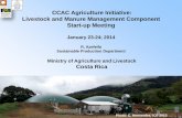 CCAC Agriculture Initiative: Livestock and Manure ... · Costa Rica Carbon Neutral…. encouraging context NAMAs: Coffee (25% emisions GHG) Livestock (40% emisions GHG) Sugar cane
