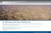 ECOFLIGHT A Blueprint for Balance · 2014-06-04 · management decisions. ... – Increase federal royalty rates to provide a fairer return for ... three voters who see conservation