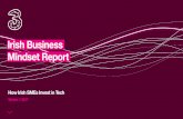Irish Business Mindset Report - Threepapers and SlideShare have all seen increases - suggesting that Irish SMEs prefer to get their technology information from peers who have ‘been