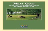 Meat Goat - Texas A&M AgriLife Extension Servicecounties.agrilife.org/williamson/files/.../pub2951meatgoatpublowres_… · Goat carcasses in Selection 1 have superior meat conformation
