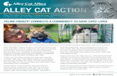 ALLEY CAT ACTION...Alley Cat Allies’ Feline Frenzy in the Florida Panhandle is an essential support system for the cats and people whose lives were uprooted by Hurricane Michael