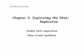 Chapter 3: Duplicating the DNA- Replicationcontents.kocw.or.kr/document/Week4_DNA replication.pdf · 2013-10-23 · New strand synthesis • Replication fork: region where the enzymes