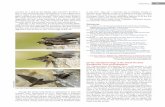 [224– References 226] - Indian Birdsindianbirds.in/pdfs/IB_14_6_Lele_Vishnudas_Streak...Santanu Manna*, Abhijit Das, Abhishek Das, Sommouli Sarkar: 9 Nalin Sarkar Street, Flat No-7C,