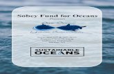 Sobey Fund for Oceans - Dalhousie University€¦ · Breanna Bishop Sara Vanderkaden Priyanka Varkey Elissama De Oliveira Menezes Justin Schaible Volunteers MMM Class of 2019-2020