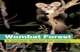 Victorian National Parks Association · The analysis and preparation of Wombat Forest: A Greater Refuge for Gliders. Significance of Wombat Forests Greater Gliders (2020) was undertaken