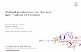 Biofuel production via thermal gasification of biomass · 2013-02-25 · Biofuel production via thermal gasification of biomass 11/12/2012 9 DTU Mechanical Engineering Straw Manure
