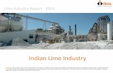 Lime Industry Report - 2014industry-focus.net/IbisLimeReportSample.pdf · 2014-09-19 · Indian Lime Industry 1 Disclaimer: We have taken utmost care to present the data in this report