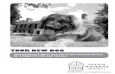 Your New Dog - Oregon Humane Society€¦ · 4 Oregon Humane Society • Dog Adoption Booklet taLF B e O cOntentS 1ettling In Protocol–Quick Guide S 5 2 Preparing Your Home 6 3he