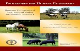 Humane Euthanasia of Sick, Injured and/or Debilitated ... · technically proficient and have a basic understanding of the anatomical landmarks and equipment used for humane euthanasia
