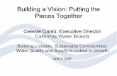 Building a Vision: Putting the Pieces Together...Building a Vision: Putting the Pieces Together Celeste Cantú, Executive Director California Water Boards Building Liveable, Sustainable