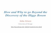 How and Why to go Beyond the Discovery of the Higgs Boson...What do we know about the Higgs Particle: A Lot The Higgs Boson Higgs is excitations of v-condensate ⇒ Couples to matter