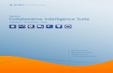Salient Collaborative Intelligence Suite · 2019-01-29 · Salient’s Collaborative Intelligence Suite unites in-memory analytical data processing and its content management engine