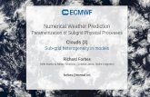 Numerical Weather Prediction · Numerical Weather Prediction Parametrization of Subgrid Physical Processes Clouds (3) Sub-grid heterogeneity in models Richard Forbes (With thanks