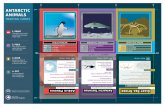 Antarctic Animals Trading Cards...ANTARCTIC ANIMALS TRADING CARDS 1. PRINT Load paper into printer and print all the pages single-sided. 2. FOLD Fold along the solid center line to