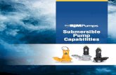 Submersible Pump Capabilities ... you deal with in mining/coal mining, hydraulic fracking, mineral processing,