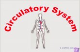 Muscular system - gcnayanangal.comgcnayanangal.com/Downloads/eLearning/blood_circulatory_system.pdf · What is the circulatory system? The circulatory system carries blood and dissolved