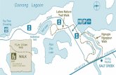 Coorong Tree Crossing 4WD 11/4 hr 2.5 km loop WALK EASY ... · Coorong Tree Crossing 4WD 11/4 hr 2.5 km loop WALK EASY even surfaced trail suitable for small children Lagoon Malleefowl
