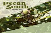 Media Kit 2020 - Pecan South Magazine · If you buy pecans, this guide is perfect for you! Many pecan growers use this guide as a reference source for pecan buyers and processors.