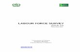 LLAABBOOUURR FFOORRCCEE SSUURRVVEEYY Report of LFS...LLAABBOOUURR FFOORRCCEE SSUURRVVEEYY 2014-15 Thirty-third issue Government of Pakistan Statistics Division Pakistan Bureau of Statistics