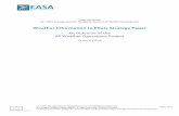 EASA Weather Information to Pilots Strategy Paper - Final ... · EASA Weather Information to Pilots Strategy Paper - Final ... ... x