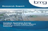 Cumbria Business Survey 2015/16 Flood Impact …...Cumbria Business Survey 2015/16 – Flood Impact Report 4 1.2 Experience of storm and floods Overall, two-thirds (65%) of all respondents