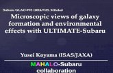 Subaru GLAO-WS (2014/7/29, Mitaka) Microscopic views of … · 2014-09-13 · CL0939-GMOS1 CL0939-GMOS2 CL0939-GMOS3 CL0939-GMOS4 CL0939-GMOS5 Constant [NII]/Ha over the galaxies,