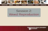 Session 2: Weed Reproduction… · Session 2: Weed Reproduction . ... from seeds •Plants from VR structures are already well-suited to the environment, having come from a successfully
