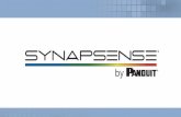 SynapSense ROI Brochure - Panduit · 2016-08-16 · 3 units o Pressure 5:45 PM all units back on to demonstrate much more e•cient air distribution and the amount of excessive pressure
