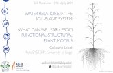 WATER RELATIONS IN THE SOIL-PLANT SYSTEM: WHAT CAN WE ... · 4 WATER FLOW IN THE SOIL-PLANT SYSTEM IS A PASSIVE PROCESS Plant Physiology ULg Air Leaf Stem Root-0.2 Soil-0.4-0.5-0.6-90