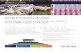Swine respiratory disease - Thermo Fisher Scientific · Fast, reliable, and high-quality diagnostic solutions for SIV, PRRSV, PCV2, and M. hyo Swine respiratory disease Swine respiratory