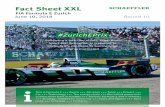 Fact Sheet XXL - Schaeffler Group · Schae˜ er Automotive Industriestr. 1–3, 91074 Herzogenaurach presse@schae˜ er.com, ˜ er.com Pole position, fastest race lap and the one-two